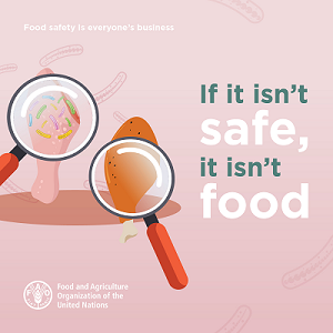 Food safety and quality