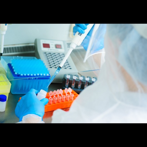 [0062-HD-704-HR] Human Bone Marrow cDNA ''primed with random hexamer primers''   30 reactions ''30 PCR amplifications''